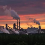 International Paper Pine Hill Alabama pulp mill exterior with industrial stacks and southern pine forest in background at dusk