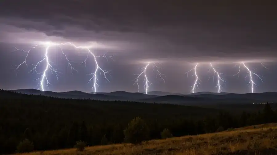 Lightning striking dry B.C. forest, the cause of most of the province's new wildfires
