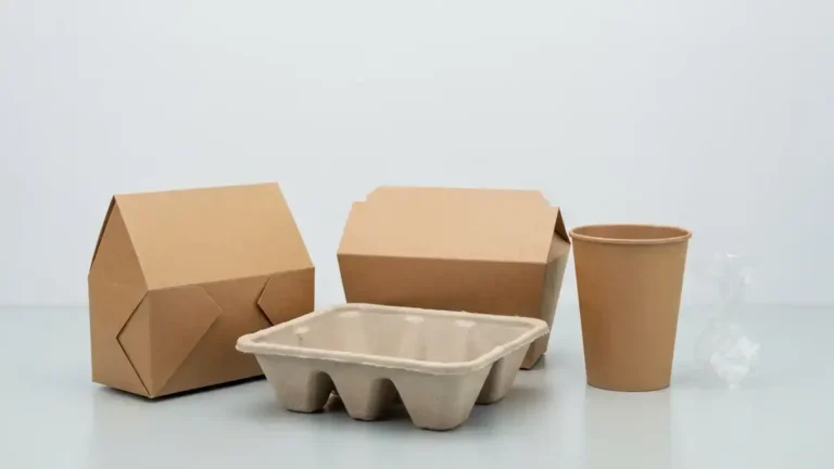 Paper packaging cartons and molded pulp tray beside a plastic wrapper, illustrating paperisation