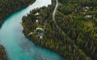 North America’s Boreal Forest Tree Count:  277 Billion Trees