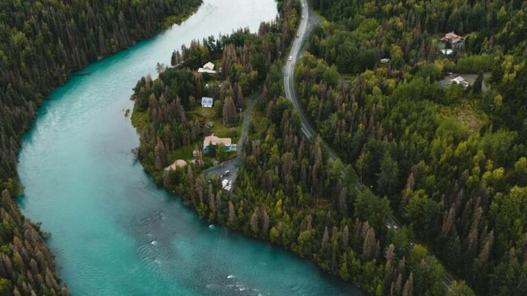 277 Billion Trees