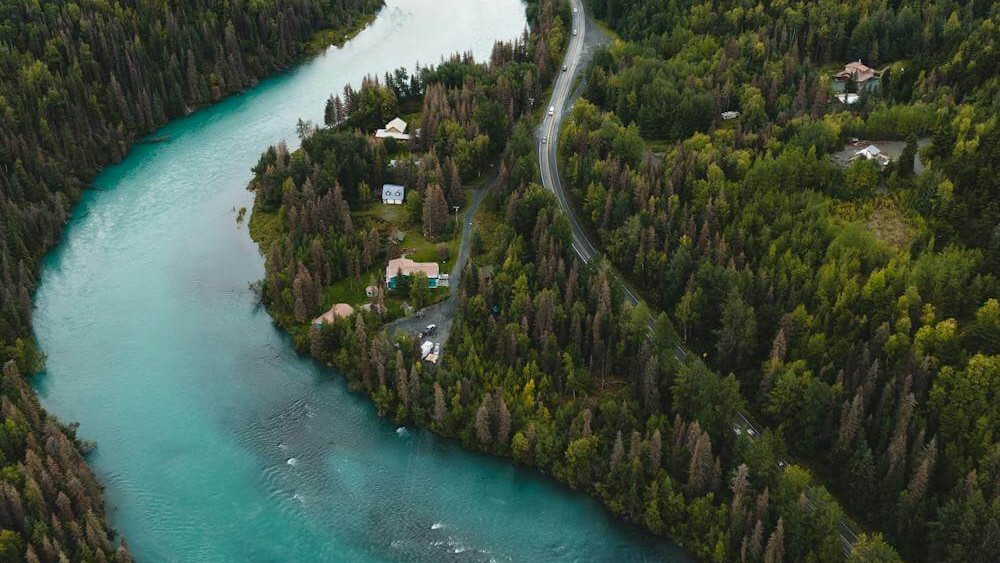 277 Billion Trees