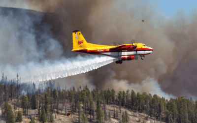Canada Faces Delays in Water Bomber Deliveries Amid Growing Wildfire Threat