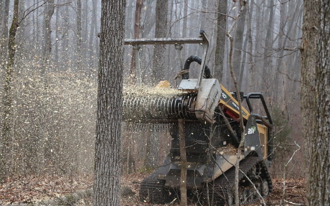Forestry Attachments for Skid Steer: The Ultimate Guide