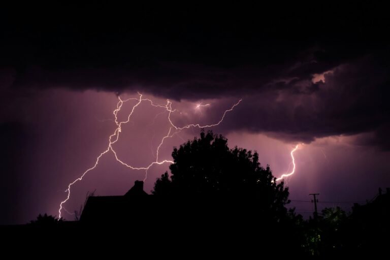 The Tree That Thrives on Lightning: Dipteryx oleifera