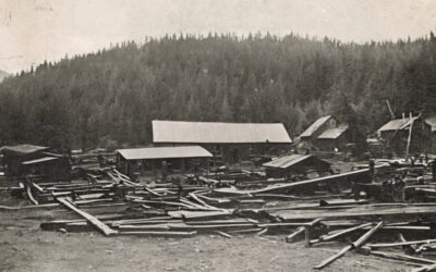 Oregon’s Wood Product Manufacturing Industry
