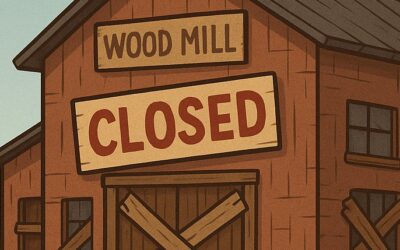 South Carolina Timber Industry Faces Uncertain Future After Major Mill Closures