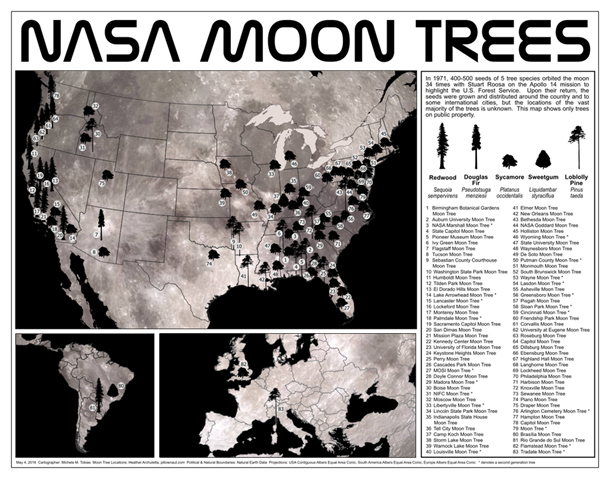 Explore Moon Trees: NASA’s Lunar Legacy