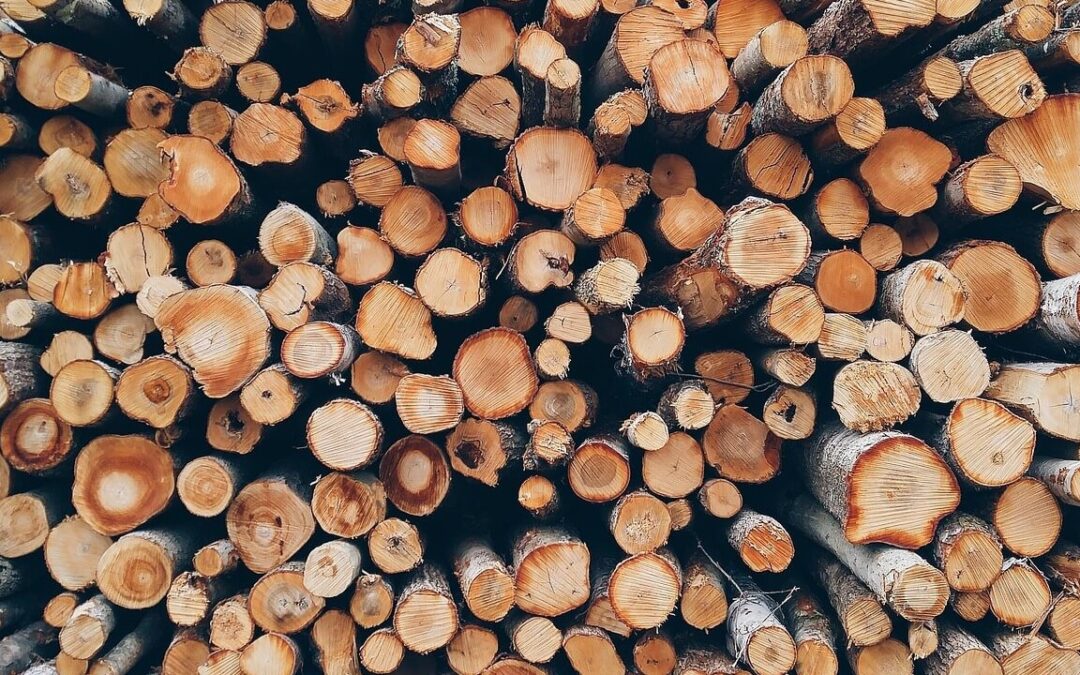 Cross-Laminated-Timber-in-North-America