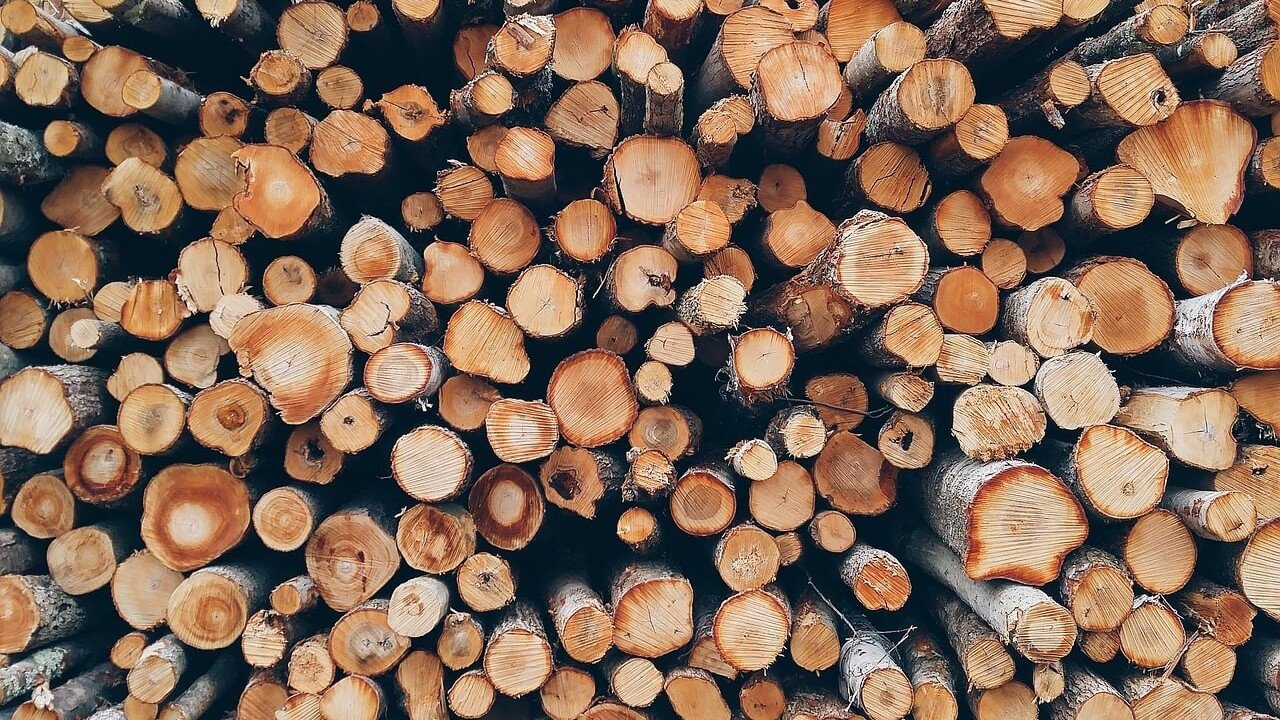 Cross-Laminated-Timber-in-North-America