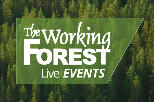 The Working Forest Live Events focus image (1)