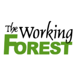 The Working forest square logo and favicon png