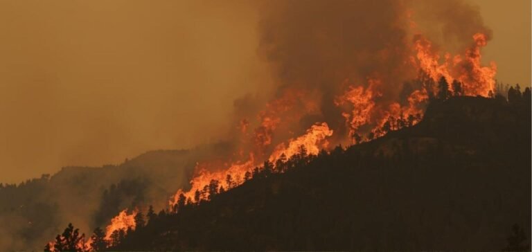 2025 Pack Fire