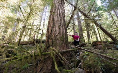 LANDMARK DEAL EXPECTED TO PROTECT TAHSIS WATERSHED FROM LOGGING