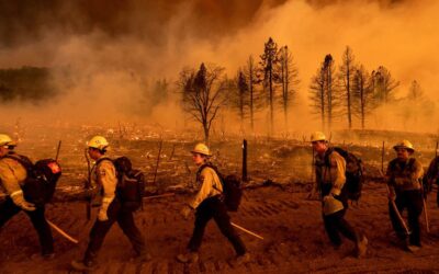 Forest Wildfires: 10 Essential Ways to Support Wildland Firefighters