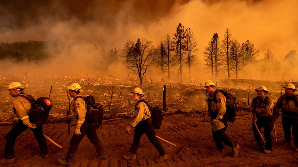 Forest Wildfires: 10 Essential Ways to Support Wildland Firefighters