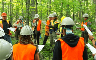 10 Top post-grad job placement schools for Forestry in North America