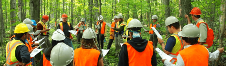 10 Top post-grad job placement schools for Forestry in North America