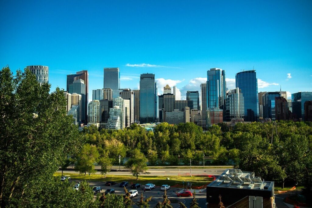 calgary skyline emerald ash borer calgary ash tree at risk 01 1