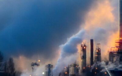 Carbon Offsets Are Reshaping the Canadian Forestry Sector