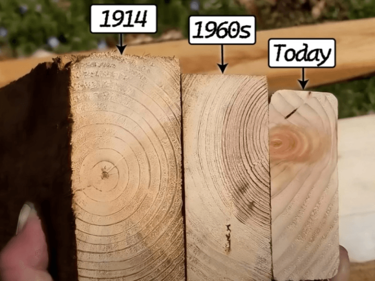 Close-up image of a 2x4 lumber size board showing its dimensions and wood grain texture.
