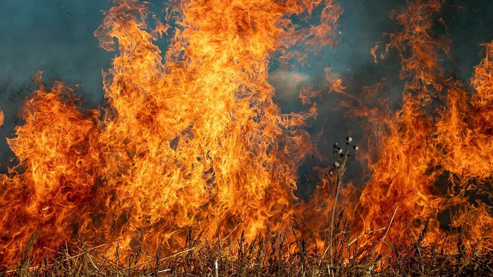 Alberta Wildfire Prompts Evacuations and Property Loss in Sturgeon County