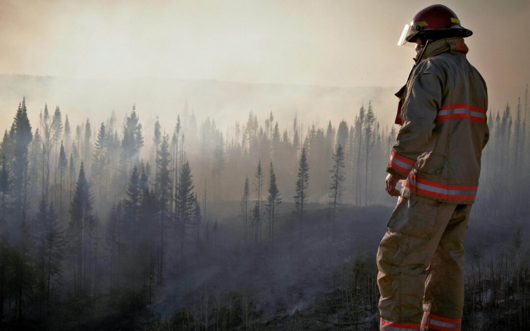 fire fighter stressed looking at forest