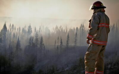 Hidden Strain: Addressing Wildland Firefighter Stress in Canada’s Fire Seasons