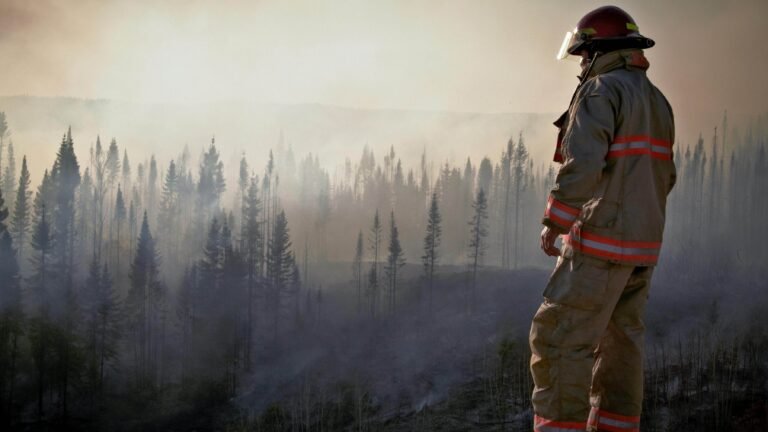 fire fighter stressed looking at forest
