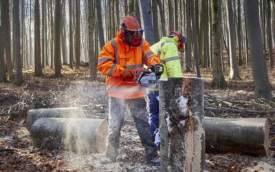 Chainsaw Safety: 10 Tips for Safe and Effective Use