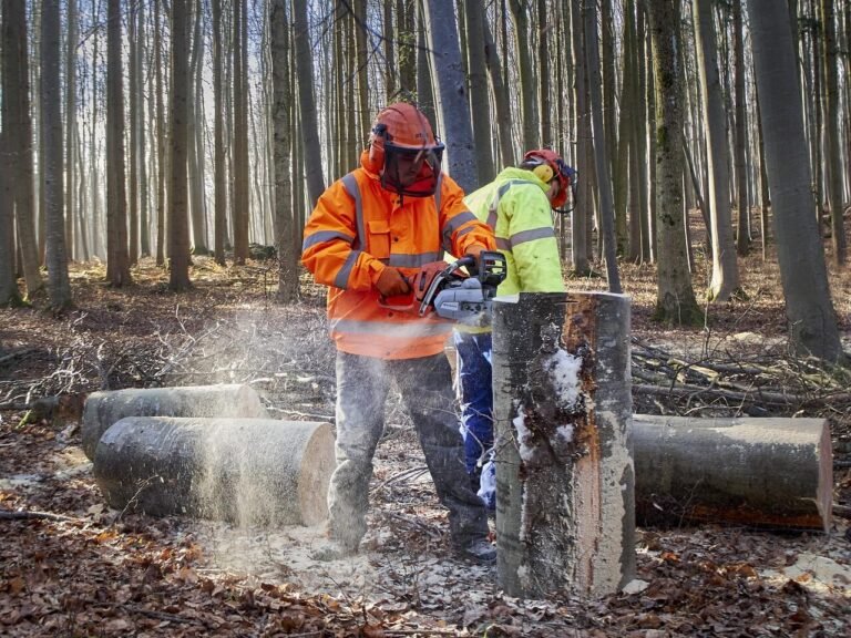 chainsaw safety 101