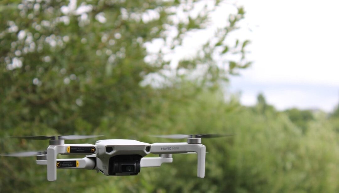 Home 19 AI Transforming Forest Protection in North America
