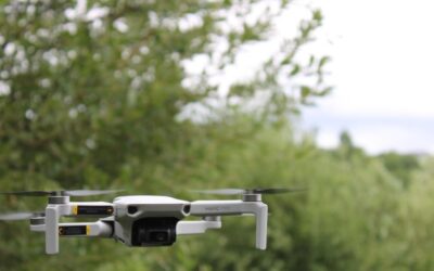 AI Transforming Forest Protection in North America
