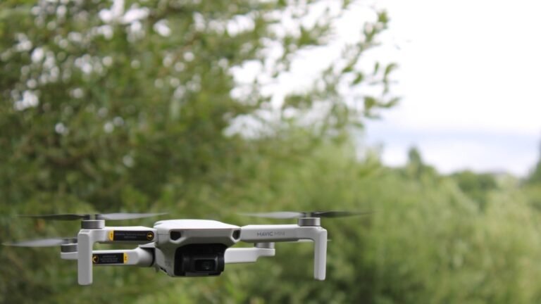 forest drone