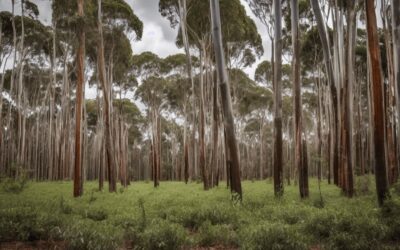 Brazil’s Forestry Sector: Growth, Investment, and Sustainable Expansion