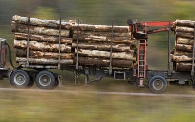 Forestry Insurance in Canada: Specialized Coverage for Industry Risks and Operations