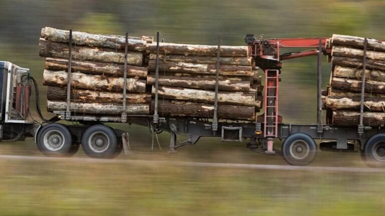 lumber