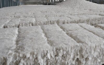 Suzano and Kimberly-Clark Form $3.4 Billion Joint Venture in Global Tissue Market