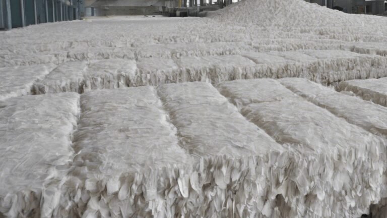 paper pulp