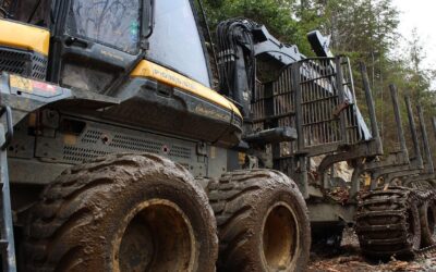 2025 Forestry Equipment Innovations: Practical Applications Without the Hype