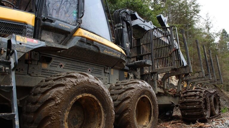timber harvester