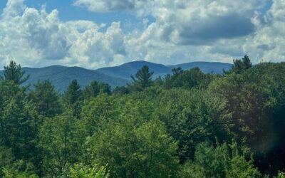 Vermont Forests in 2025: Land Use, Ecology, and Management