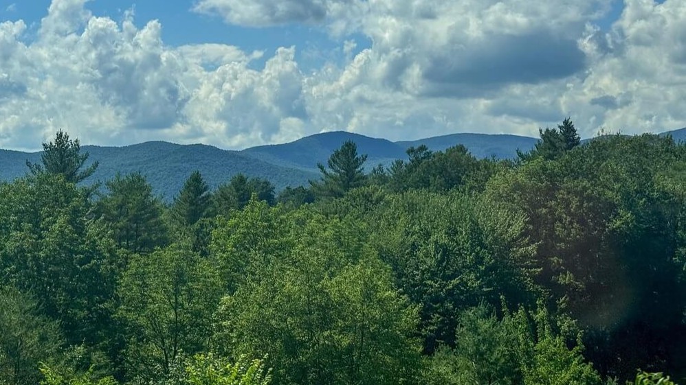 vermont forests
