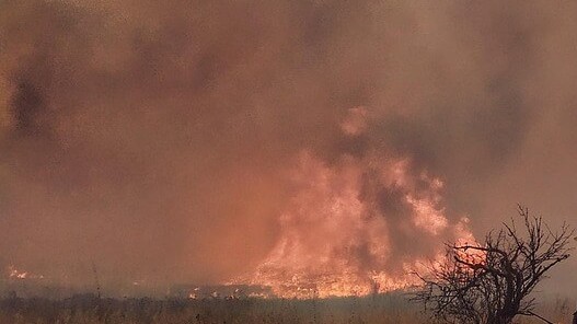 Wildfire Threats in Eastern Manitoba Lead to Precautionary Evacuations
