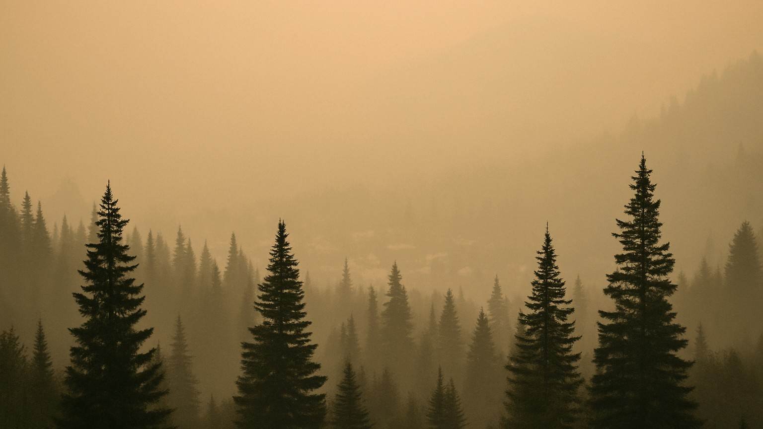 wildfire deaths in Canada
