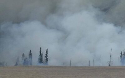 Wildfire Smoke from Canada Reaches the Midwest
