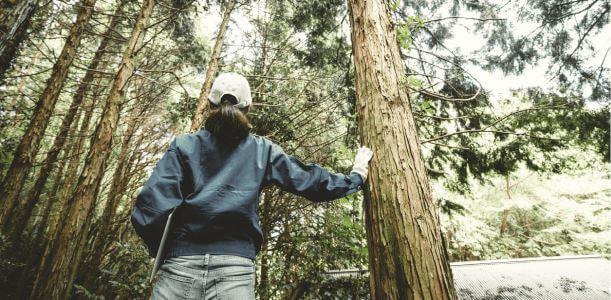 women in forestry 1 home page